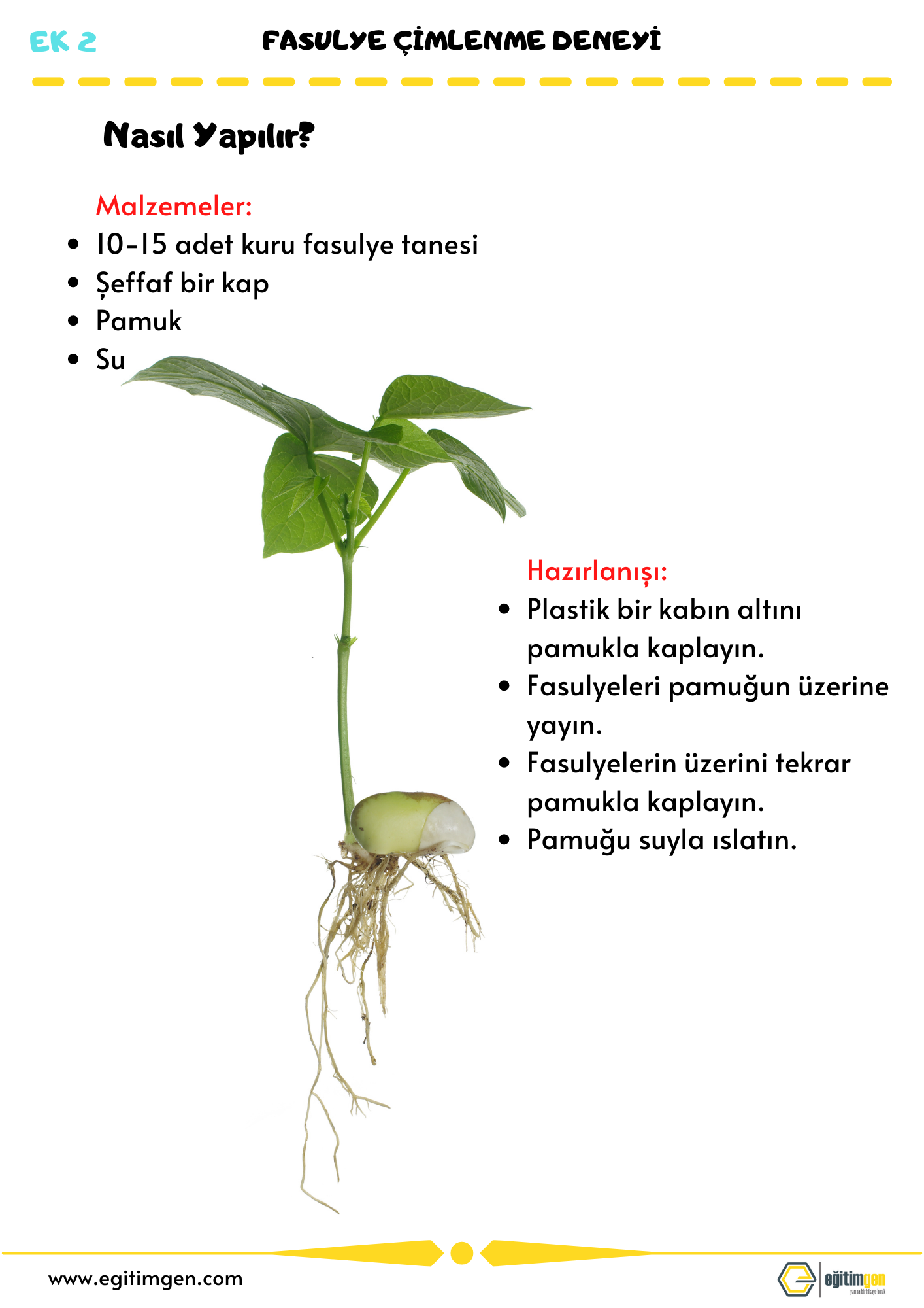 30hafta-okul-oncesi-ders-plani-ek-2.png - Eğitimgen