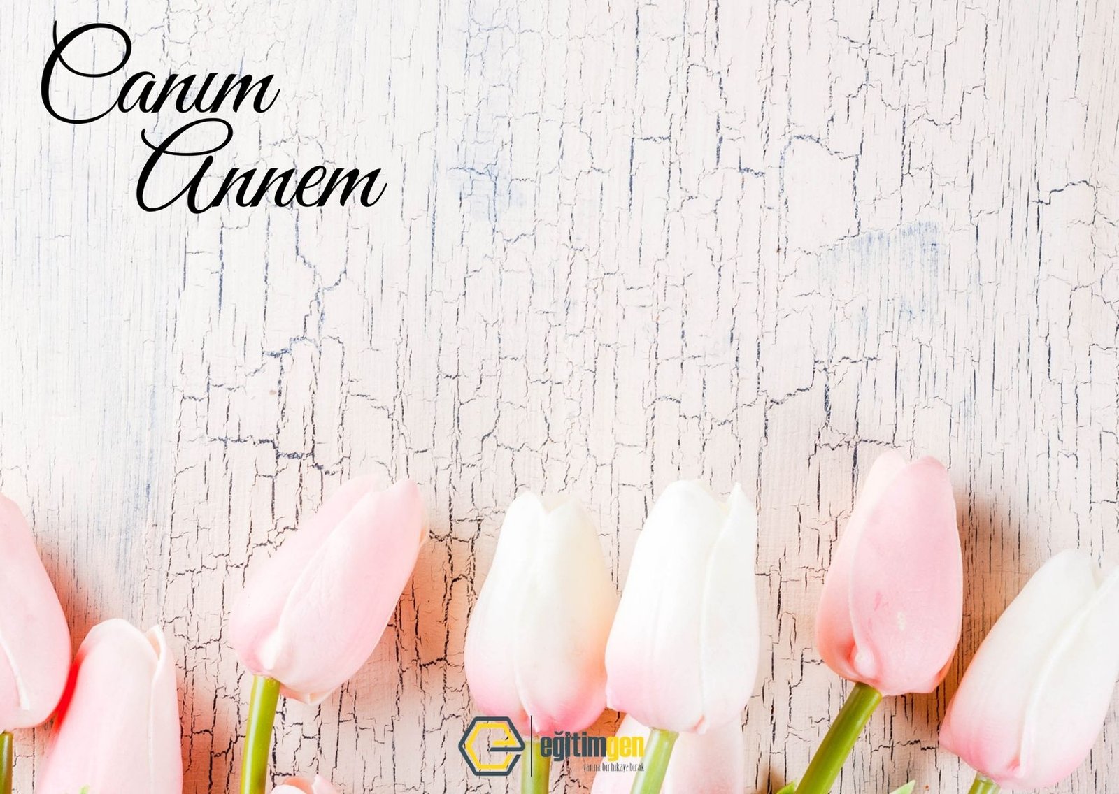 anneler-gunu-2.jpg - Eğitimgen