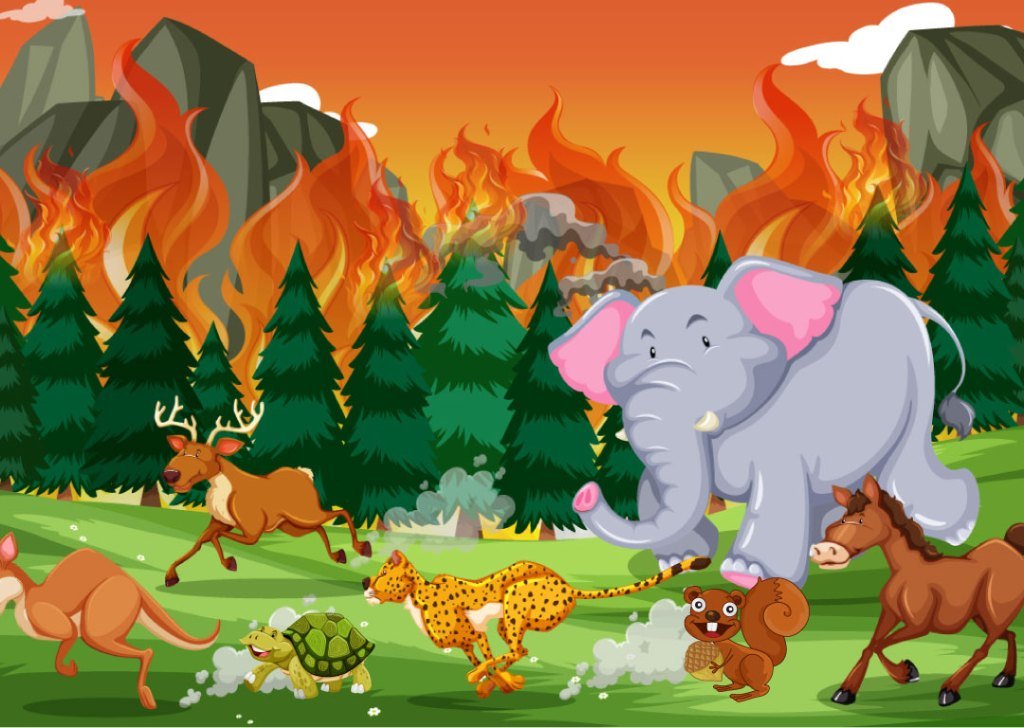 doga2.jpg - Eğitimgen